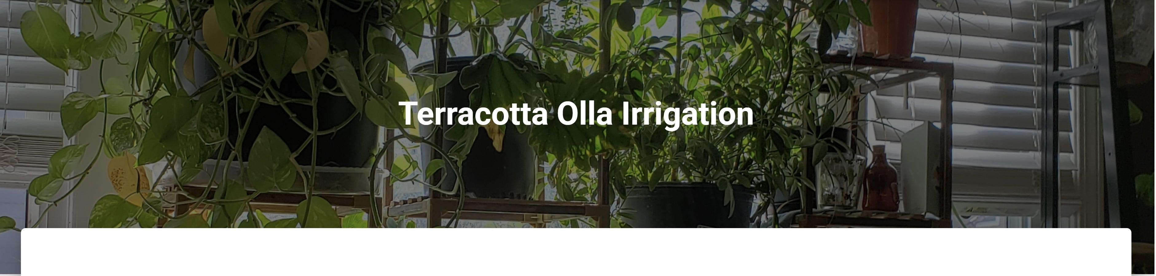 Advantages of Olla Irrigation